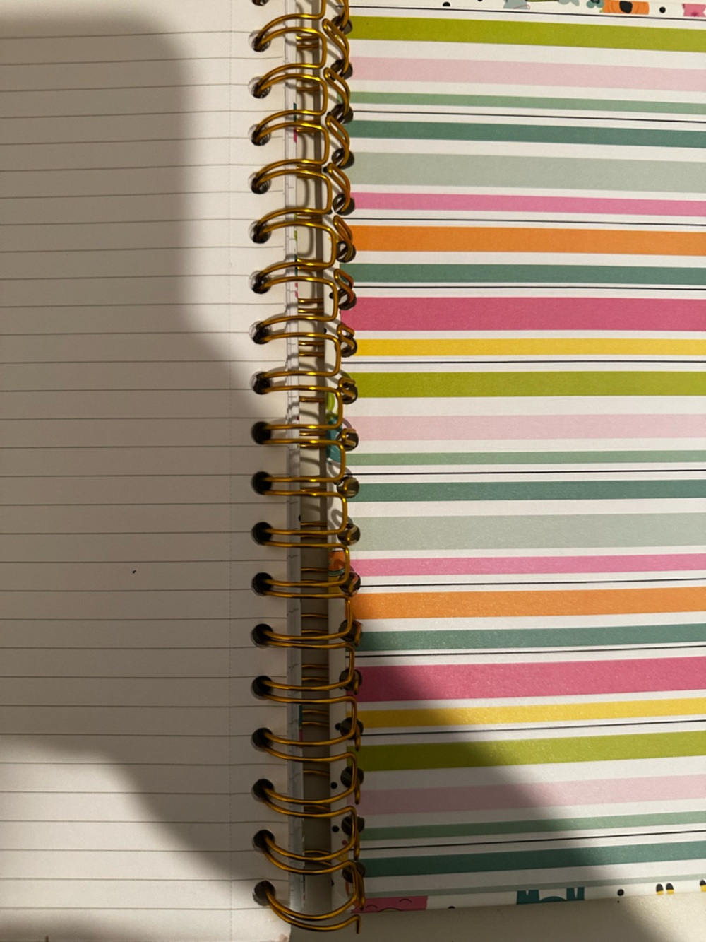 Carpe Diem Llama B5 Project Notebook Journal - Colorful Print - Picture 3 of 5